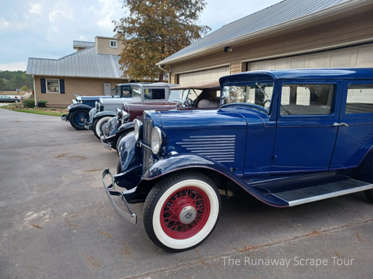 The Dalton Collection